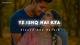 Ye Ishq Hai Kya ( Slowed And Reverb ) Kumar Sanu, Alka Yagnik #lofi