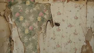 Grandma's Attic ♡ | Antique Flower Wallpaper Background Viewing | Cozy Coquette Visual Aesthetic 🌸 screenshot 5