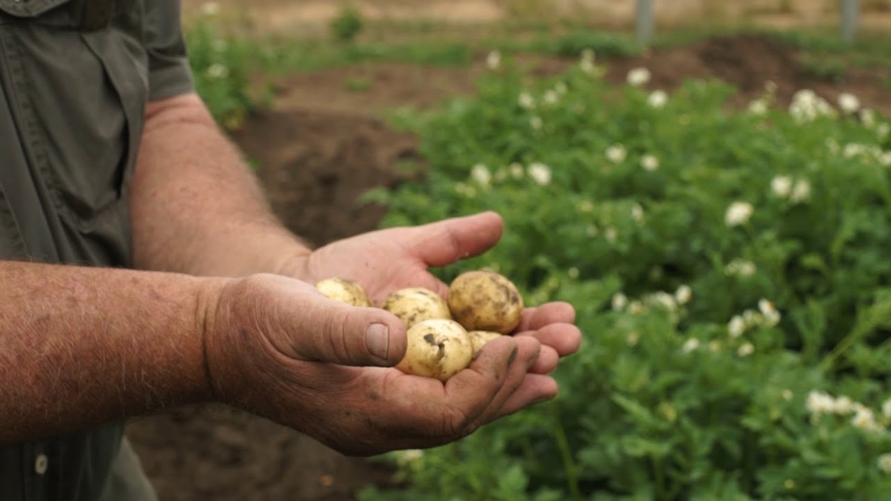 Hart van 'n Boer | Feel Good Farming 6