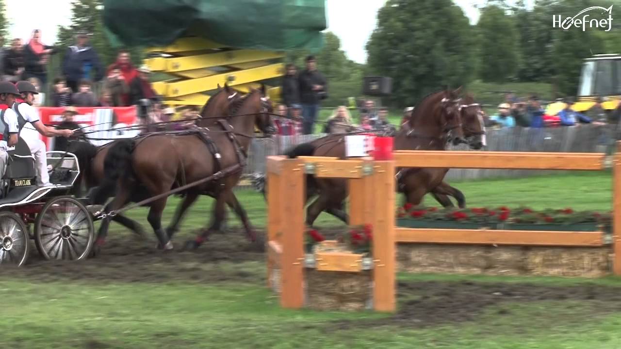 Marathon CHIO Aachen 2013