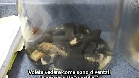 Cosa provoca il cibo di McDonald?