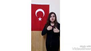 Gülsüm Çetin - İşaret Dili / Mustafa Yıldızdoğan - Şehitler Ölmez #sehitmuhittintalhacaliskan