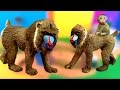 Happy Cute NEW ZOO Animals WILDLIFE Watering hole Playset Toy Review MANDRILLS SuperFunReviews