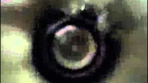 12vdb.com - car audio database: JL Audio 12w1.4