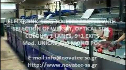 Γραμμή Διαλογής και Συσκευασίας μήλων - Sorting & Packing Line for Apples_Novatec