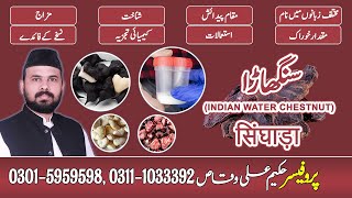 Sanghara || سنگھاڑا || सिंघाड़ा || indian water chestnut || Singhara ke Fayde || 03015959598