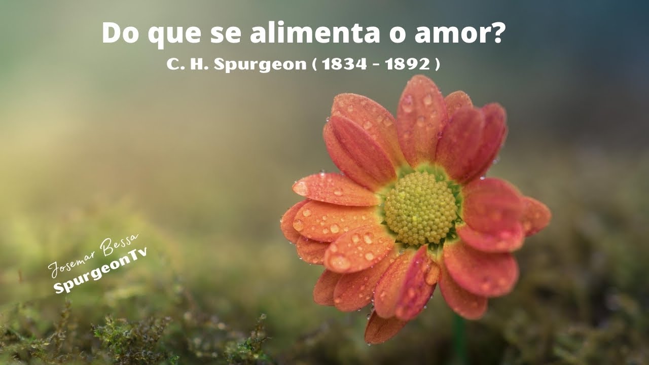 Do que o amor se alimenta? |C. H. Spurgeon ( 1834 - 1892 )