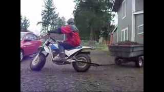 Fat Cat And Quad Use