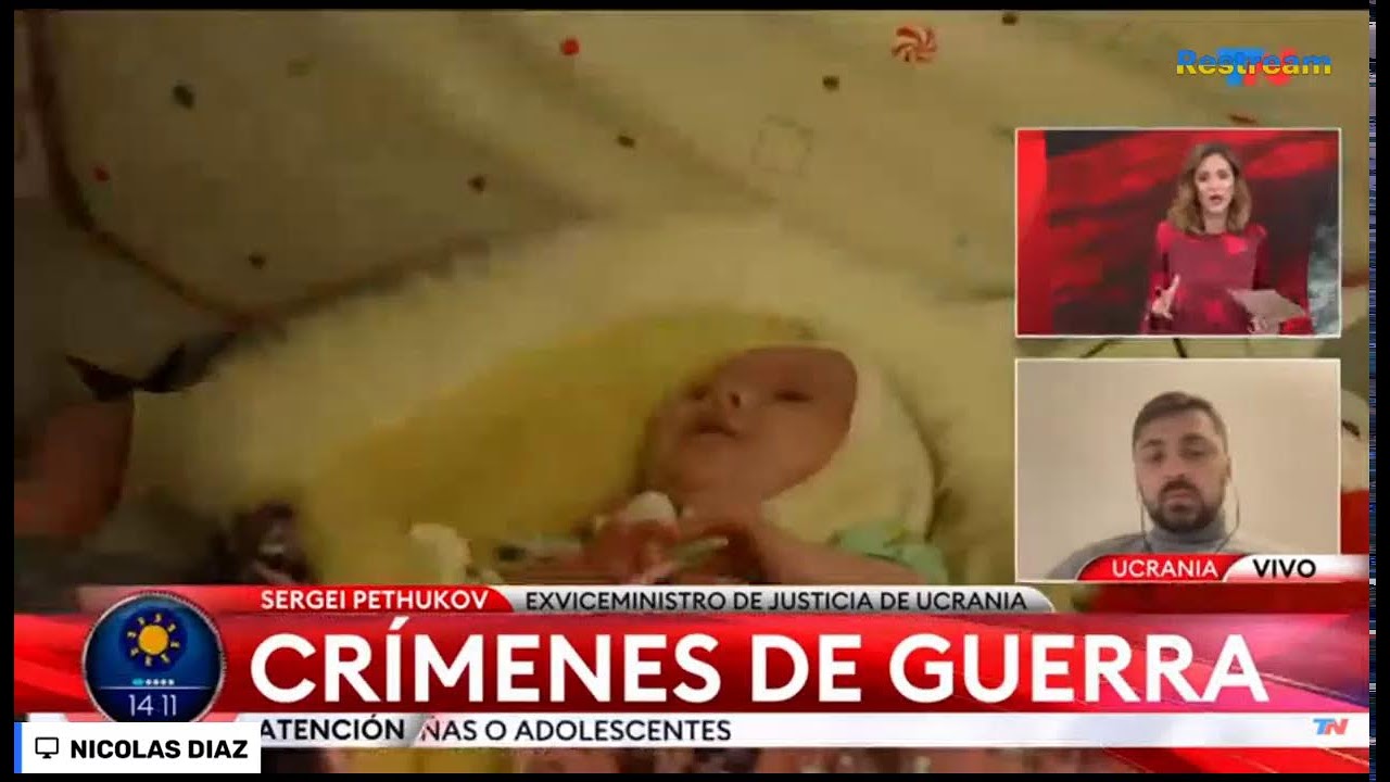 TN EN VIVO - YouTube