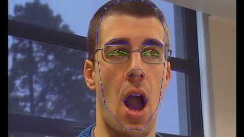 3D Face and Facial Tracking