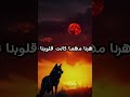 الحياة هي معركة واحدة عليك ان تقاتل حتى النهاية 