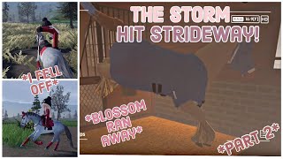 🌩️The Storm Hit the Strideway Yard🌩️ *Blossom Ran Away?!* *Part 2* || Strideway Episode 9