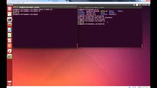 Celebrity Cyber Patriot Ubuntu Basics Ep 3  Bash Scripting,  grep , and  kill Profile