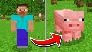 How To MORPH Into Any Mob in Minecraft Pocket Edition (Morph Mobs Addon) screenshot 5