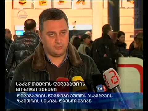 საქართველოს დელეგაციის ვიზიტი