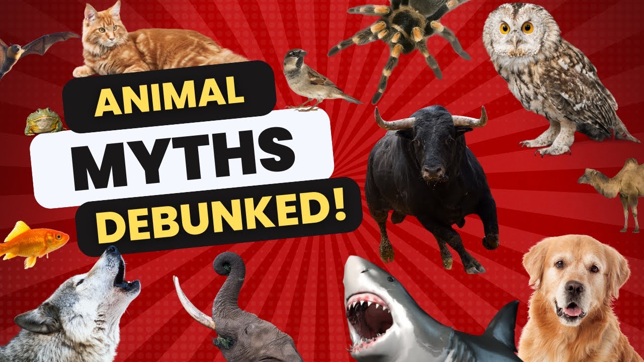 Shocking Animal Myths DEBUNKED: Unveiling the Truth About Your Favorite Creatures!
