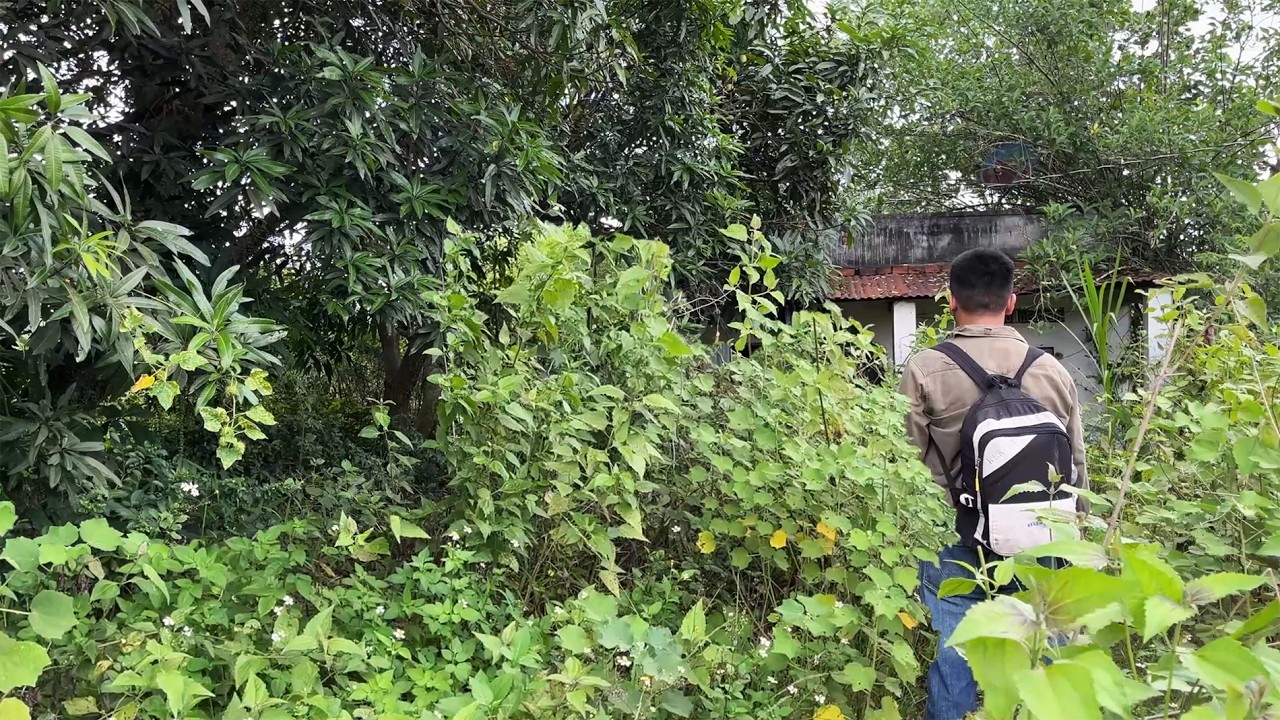 ВЕРНУВШИСЬ в старый дом после десяти лет жизни за границей, молодой человек был шокирован и напуган.