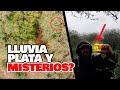 Este Bosque MISTERIOSO Guarda Secretos? Aquí Encontré Monedas, PLATA y Algo Más!