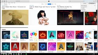 Usability Testing: Spotify v. Apple Music/iTunes