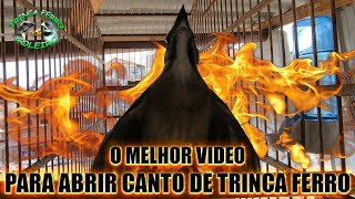 WARM UP TRINCA FERRO raises dead screenshot 3