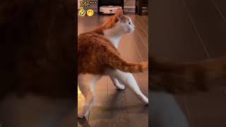 funny TDM challenge  😆🤣