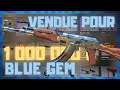 Cette AK s'est Vendue pour 1 000 000$ CS2 ! 🤯💸