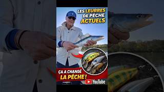 👉 “Pourquoi les leurres high-tech déclenchent l’attaque des carnassiers 💥”