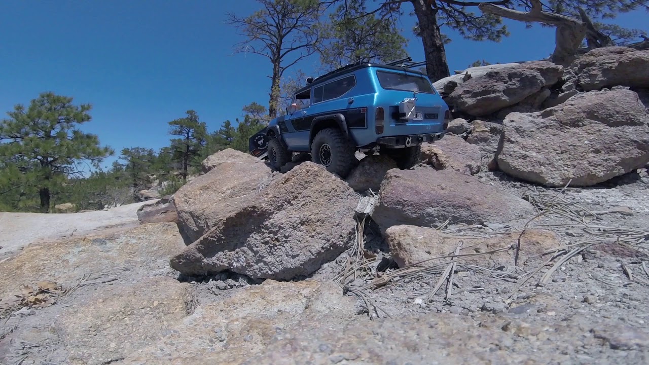 1/10 Scale RC Crawlers Traxxas TRX4 Bronco & Redcat Gen8 Scout II