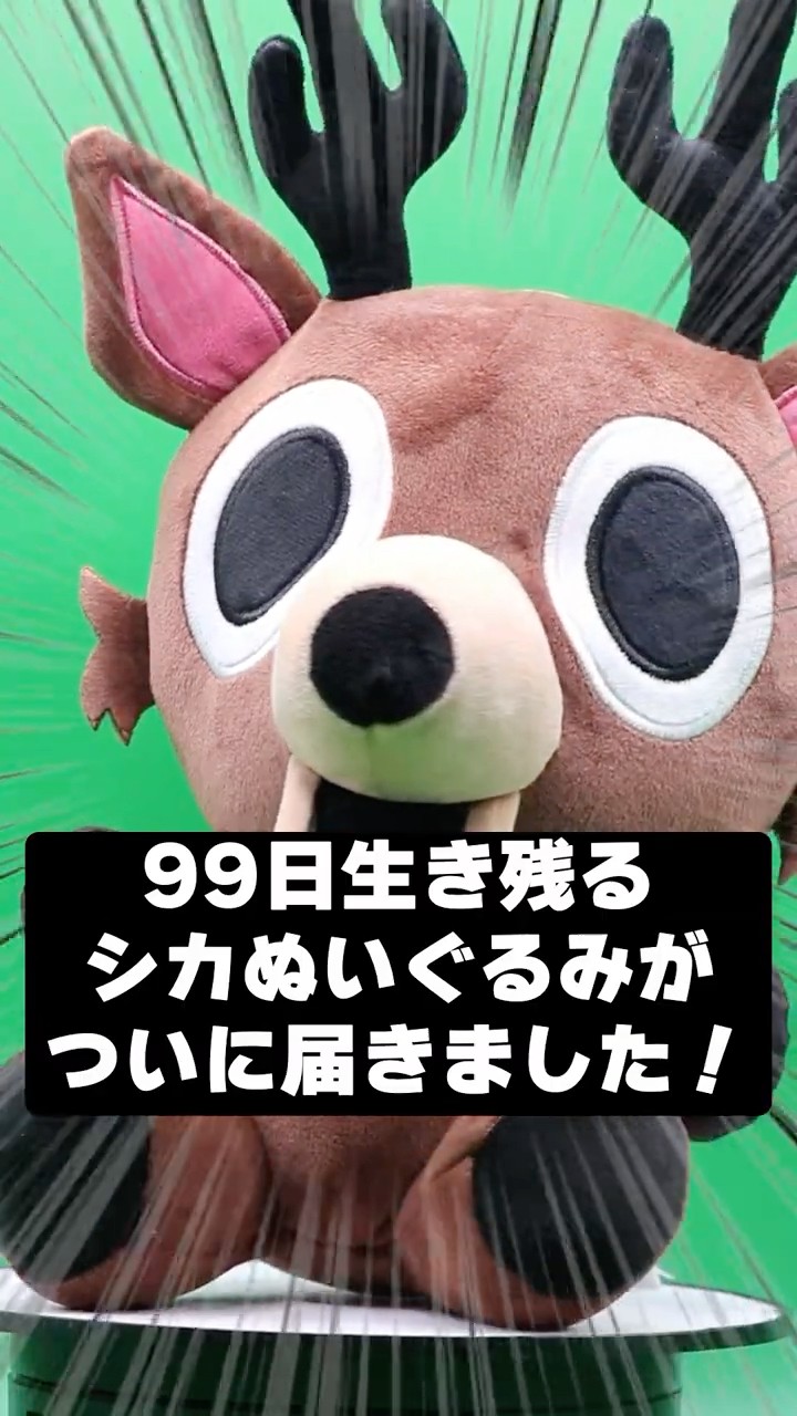 ロブロックス　99Night in the Forest　公式　ぬいぐるみ　シカ My 99-day 