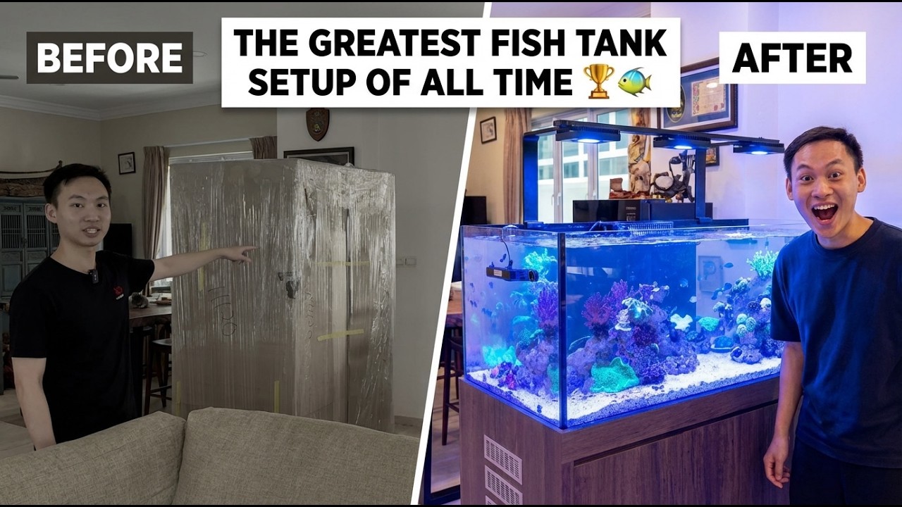 This Might Be the Most PERFECT Tank Setup Ever 🤯🐠