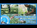 Finding food in unexpected places with Urban Forager Candise Jordan | District Life