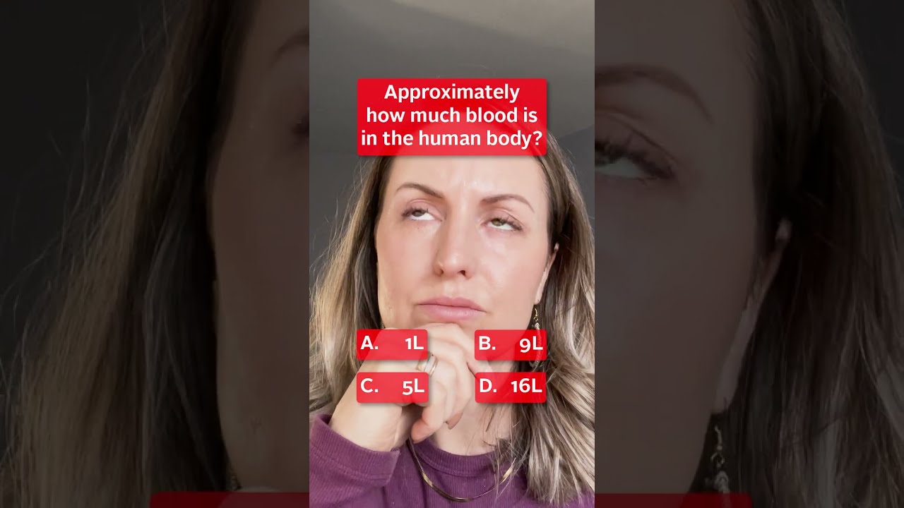How Much Blood Is In The Human Body 