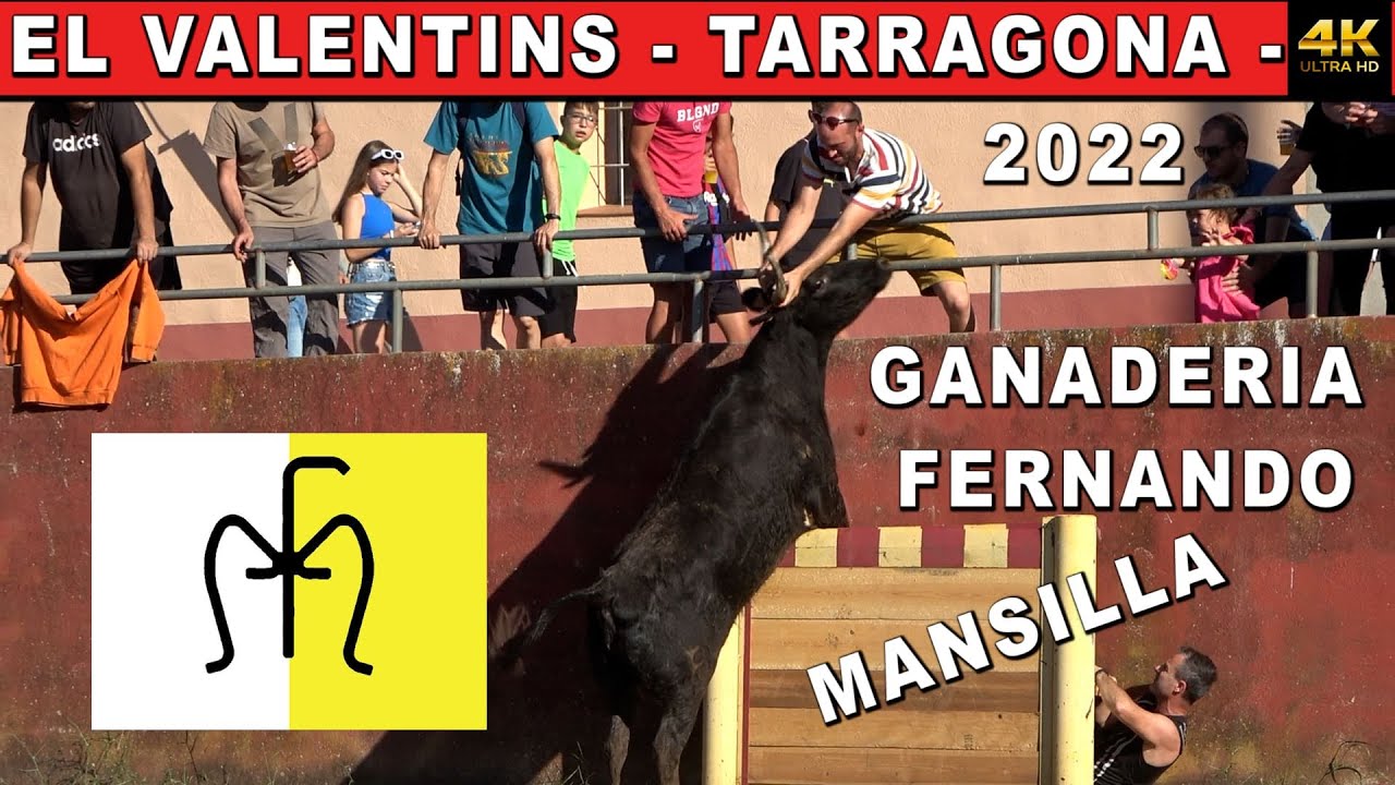 ELS VALENTINS - GANADERIA FERN. MANSILLA