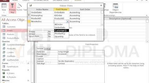 Insert a new index named NewIndex that will allow entering duplicates in the CustomerID field of...