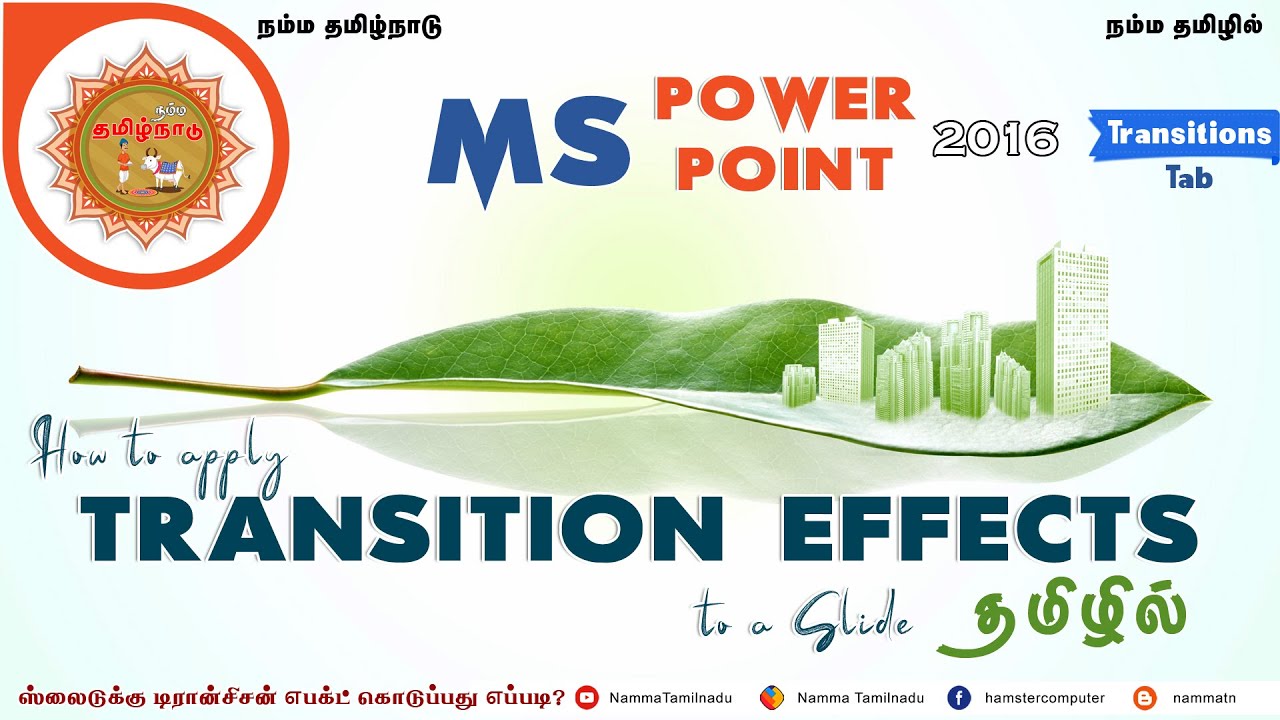 How to Apply Slide Transitions in a PowerPoint Presentation - YouTube