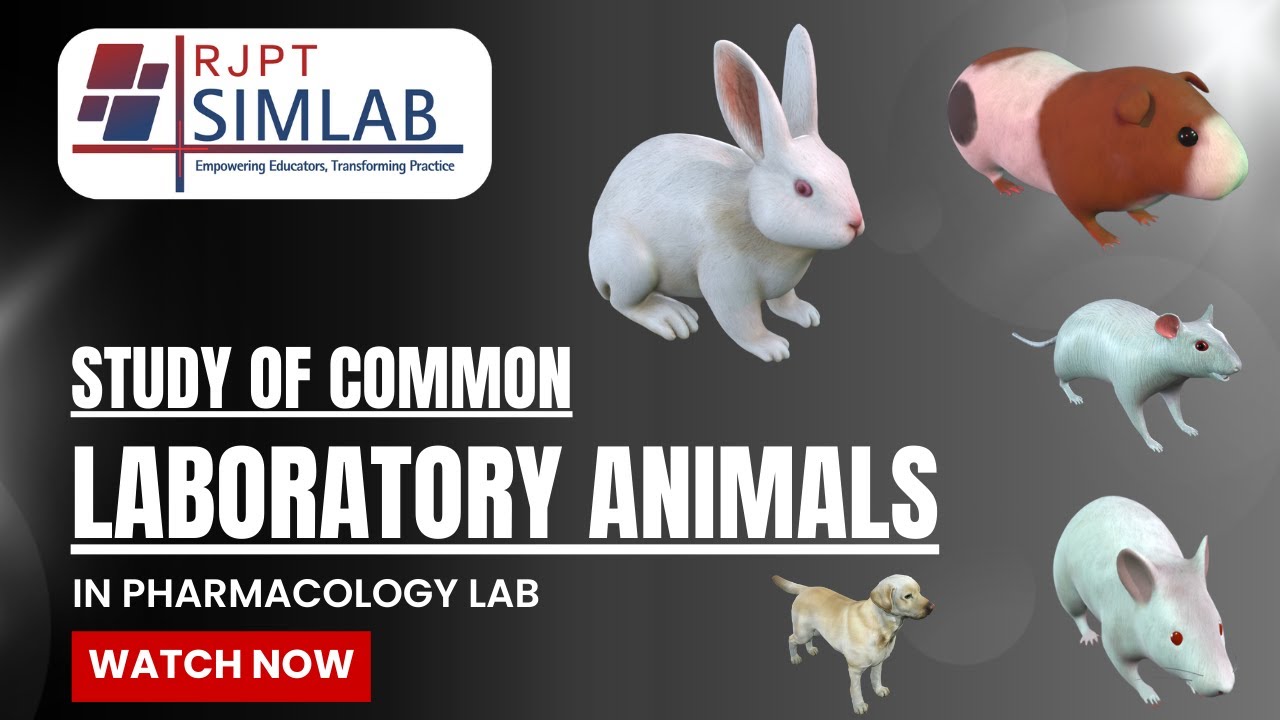 Animal R Software Study of Common Laboratory Animals in Pharmacology Lab | RJPT Simlab ...
