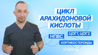 Цикл Арахидоновой Кислоты и Лекарственные Препараты