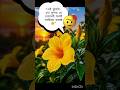 "Wait… this flower is REAL? 🌼😲"#shorts #flowers