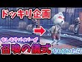 【第五人格】ドッキリ企画！もしもサバイバーが召喚の儀式をしていたら【Identity V】【アイデンティティ V】