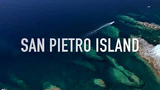 Trailer San PIetro Island Trailer