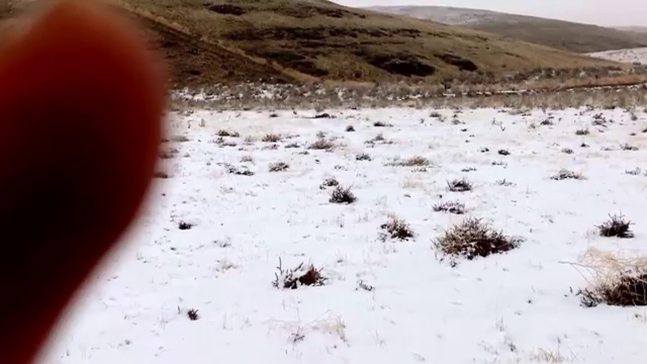 Trapping using waxed dirt. - YouTube