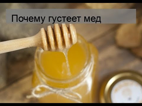 Почему густеет мед