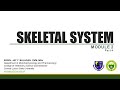 Skeletal system part 4  bones of the thoracic limb