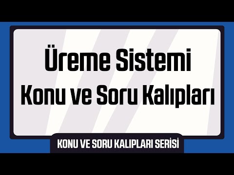 45 Dakikada Tek