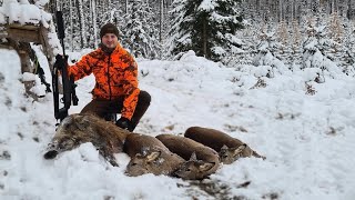 Drückjagd auf Sauen und Reh im Schnee - Jagdkrone