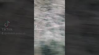 #thedoors #steamtrain #steamrailway #betsy-y-coed #northwales #slatemine #holiday2024 #memories