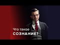 Как сознательно повлиять на мозг? А.В. Курпатов