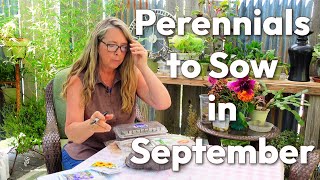 Sowing Seeds in September - What Seeds Work Best!