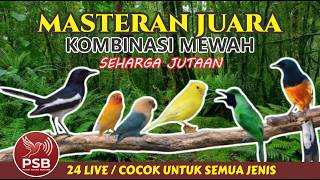 Download lagu SUARA MASTERAN KOMBINASI MEWAH TEMBAKAN TAJAM & MATERI JUARA