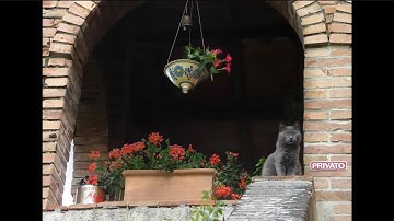 Linear Gradients In Adobe Lightroom CC